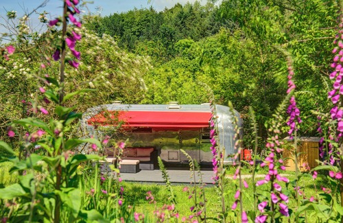 Mabe House | Glamping 1967 Retro American Airstream