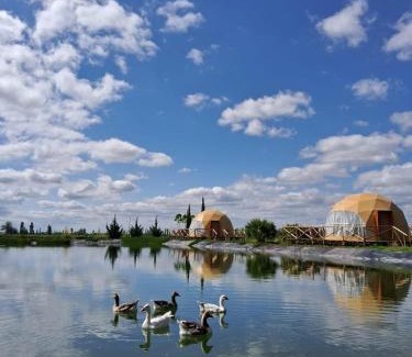 Mendoza Wine Region Other | glamping en el viñedo