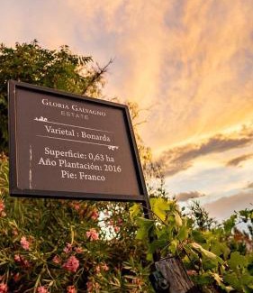 Mendoza Wine Region Other | glamping en el viñedo