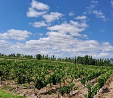 Mendoza Wine Region Other | glamping en el viñedo