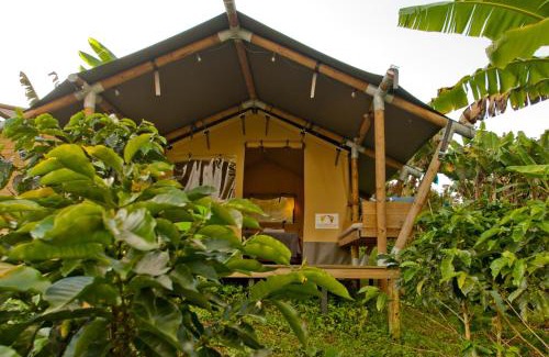 Jardin Other | Glamping Jardín