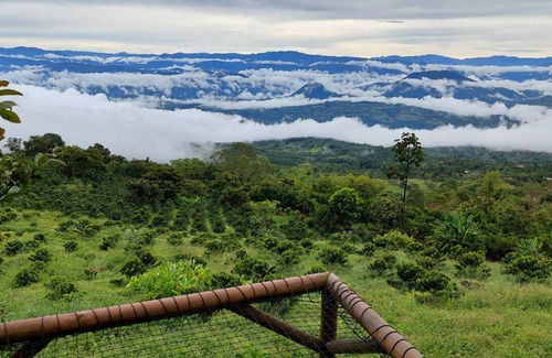 Tamesis Cabin | Glamping La Sucursal del Cielo Támesis