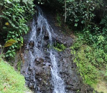 Cajibio Other | Glamping Malu