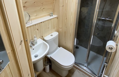Milland Cabin | Glamping pod nestled deep within the South Downs National Park.