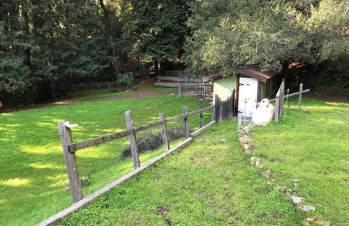 Los Gatos RV Rental | Glamping Tent Large at Enchanted Forest Retreat