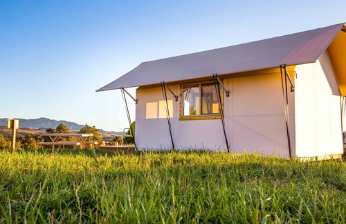 Canon City Cabin | Glamping Tent Single Queen - Royal Gorge Cabins