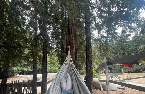 Gilroy House | Glamping Tipi in the Redwood Grove