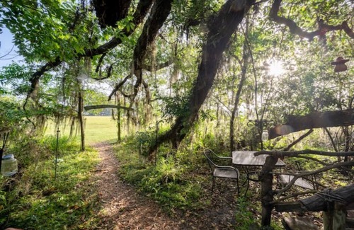 Live Oak Other | Glamping Treehouse on Farm, Unique Experience!