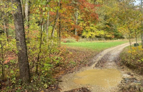 Means Cabin | Glamping Unit #5 - Punkin Hollow Resort