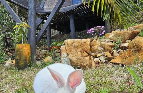 Medellin Cabin | Glamping Volver a la Tierra