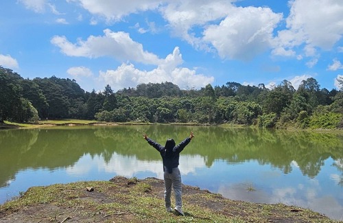 Medellin Cabin | Glamping Volver a la Tierra