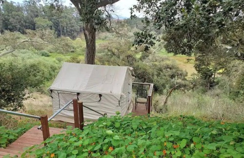 Watsonville RV Rental | Glamping Wetlands Overlook