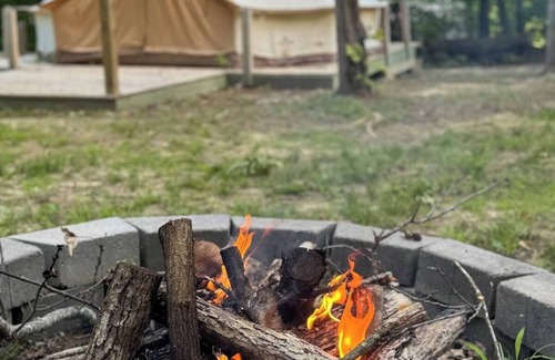 Stanton RV Rental | Glamping Yurt #2 in Red River Gorge with Wooded Views & Bathhouse