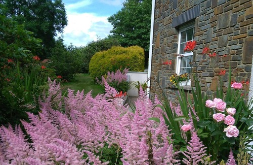New Moat Cottage | Glanrhyd, Narberth - One Bedroom Cottage, Sleeps 3