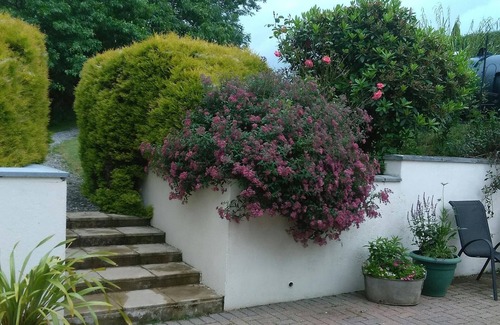 New Moat Cottage | Glanrhyd, Narberth - One Bedroom Cottage, Sleeps 3