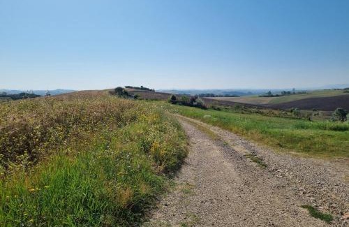 Siena House | Gli Ulivi di Siena 2