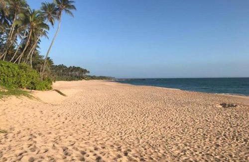 Aturuwella Bed & Breakfast | Gold sand Resort