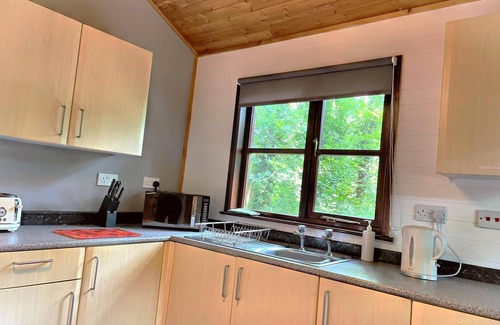 Llanybri House | Goldcrest 3 -Hot Tub-Woodland Lodges-Carmarthenshire-Tenby