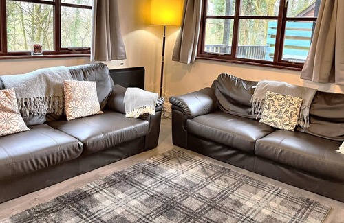 Llanybri House | Goldcrest 4-Hot Tub-Woodland Lodges-Carmarthenshire-Tenby