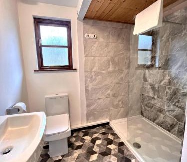 Llanybri Ski Chalet | Goldcrest 4-Hot Tub-Woodland Lodges-Carmarthenshire-Tenby