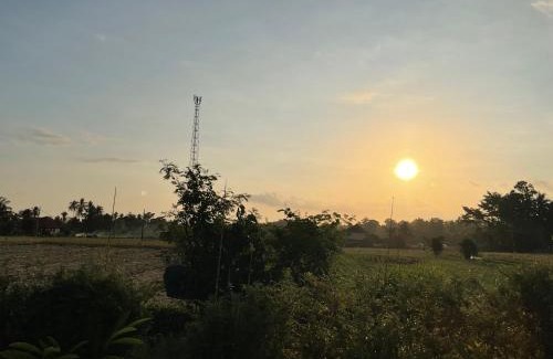 Tabanan House | Golden Mango Farmstay
