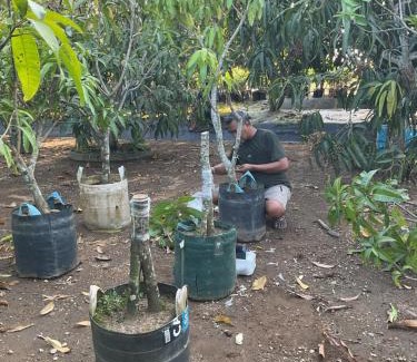 Tabanan House | Golden Mango Farmstay