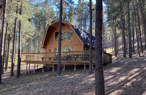 Rapid City Cabin | Golden Summers Cabin WIFI, Close to Lake Pactola