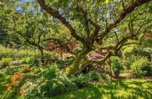 Olga House | Goldeneye Farm - Orchard & Ponds