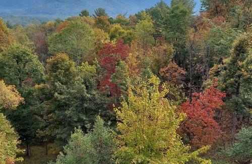 Blairsville Cabin | GOLF Nearby! Amazing View, Hot Tub, Game Room!Theater! 2 living rooms!Sleeps 12