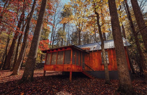 Saluda Cabin | Good Times cabin at Cabin Fever in NC!