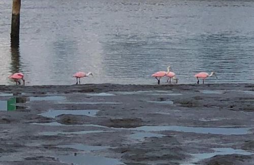 Goodland Apartment | Goodland Waterfront Cottage