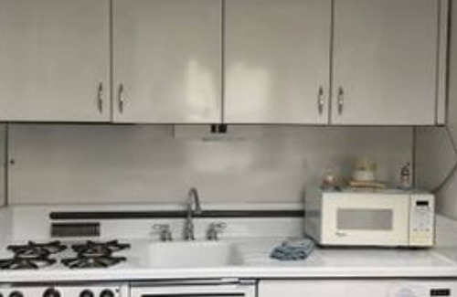 New Buffalo Apartment | Goodrich Studio King Size with Jacuzzi