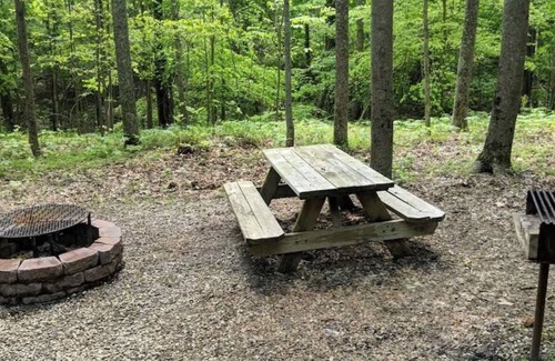 Mauckport Cabin | Gorgeous Cabin surrounded by wildlife!