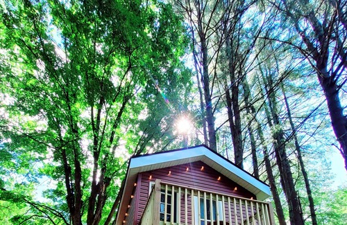 White Mills Cabin | Gorgeous free standing Treehouse cabin with all the amenities!