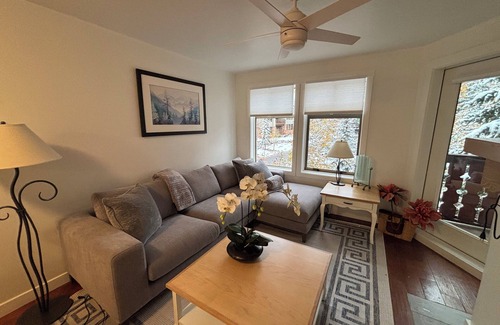 Salt Lake Mountain Resorts Condo | Gorgeous fully renovated 2br/2b condo ski in/out in Solitude