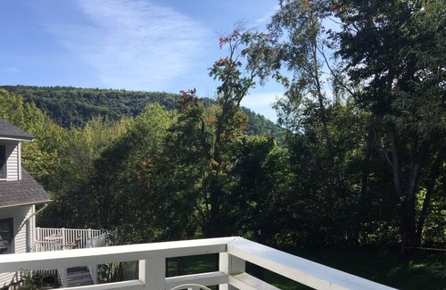 Camden Apartment | Gorgeous, large, sunny, private, quiet studio apartment
