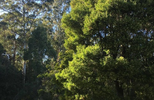 Weetah House | Gorgeous mountain views close to Deloraine
