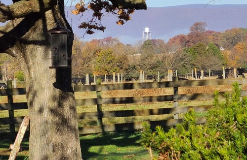 Luray House | Gorgeous mountain views in Page Valley. Perfect for hikers bikers and kayakers.