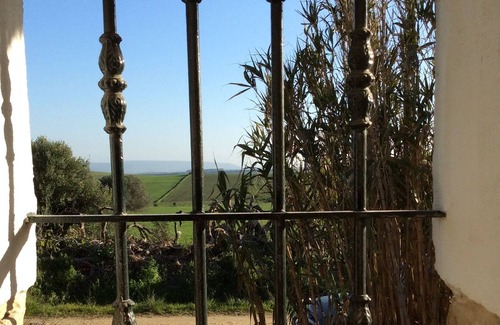 Vejer de la Frontera Cottage | Gorgeous one bedroom thatched cottage in the Vejer countryside with lovely pool.