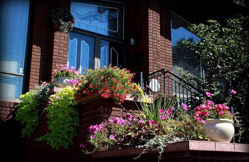 Humber Summit House | Gorgeous Peace Room in A Stunning Chalet Style Home - YYZ