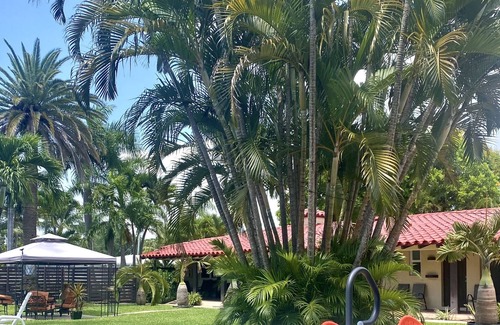 Coral Ridge Apartment | Gorgeous Studio w/kitchen-RELAX in the ❤️ of F. Lauderdale, 1mi WALK to the BEACH