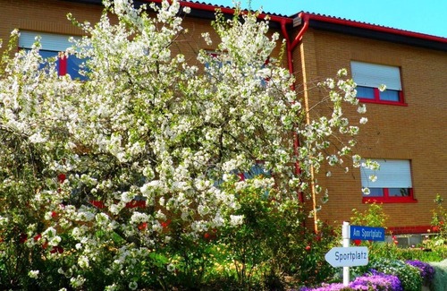 Gorxheimertal Apartment | Gorxheimertal holiday apartment on the sports field - Groxheimertal holiday apartment on the sports field