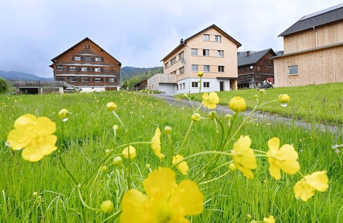 Grossdorf Apartment | Grüne Wiese - Ferienhof Landerleben