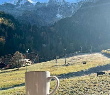 Les Contamines-Montjoie Apartment | Grand appartement rénové de 110m2 aux Contamines