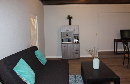 St. Petersburg Apartment | Grand Central Suite in Downtown St Petersburg! 2 min bike ride to Central Ave!
