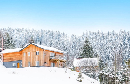 Ban-sur-Meurthe-Clefcy Ski Chalet | Grand Contemporary Chalet with stunning views
