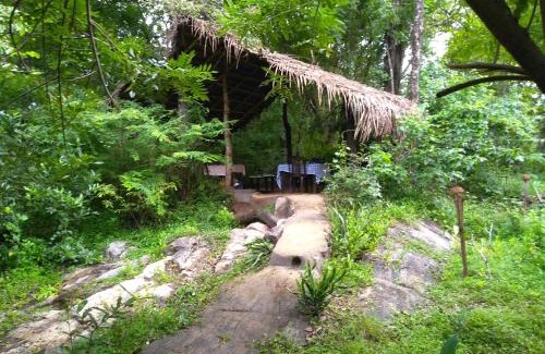 Sigiriya Bed & Breakfast | Grand freedom
