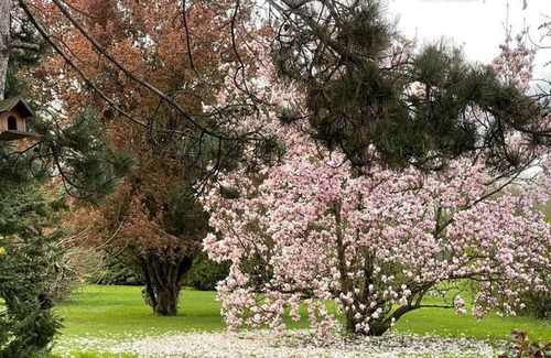Villeneuve-sur-Bellot House | Grand Gîte de 15 à 23 Personnes à 80 Km de Paris et à 45 min de Disneyland