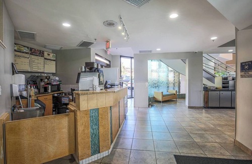 Myrtle Beach Condo | Grand Oceanfront 1Br Suite! Dogs OK!