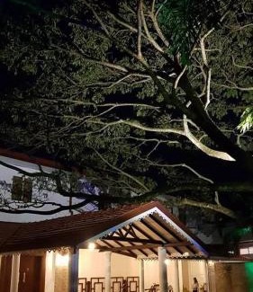 Dambulla House | Grand Riverine